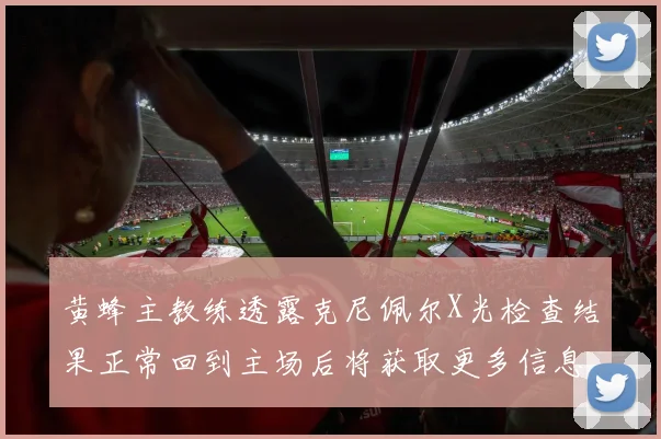 黄蜂主教练透露克尼佩尔X光检查结果正常回到主场后将获取更多信息