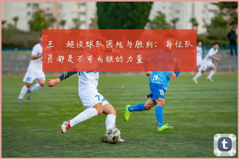 王燊超谈球队团结与胜利：每位队员都是不可或缺的力量