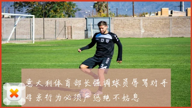 意大利体育部长强调球员辱骂对手母亲行为必须严惩绝不姑息