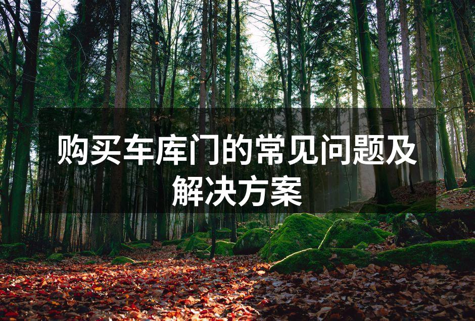 坚固耐用的钢质车库门