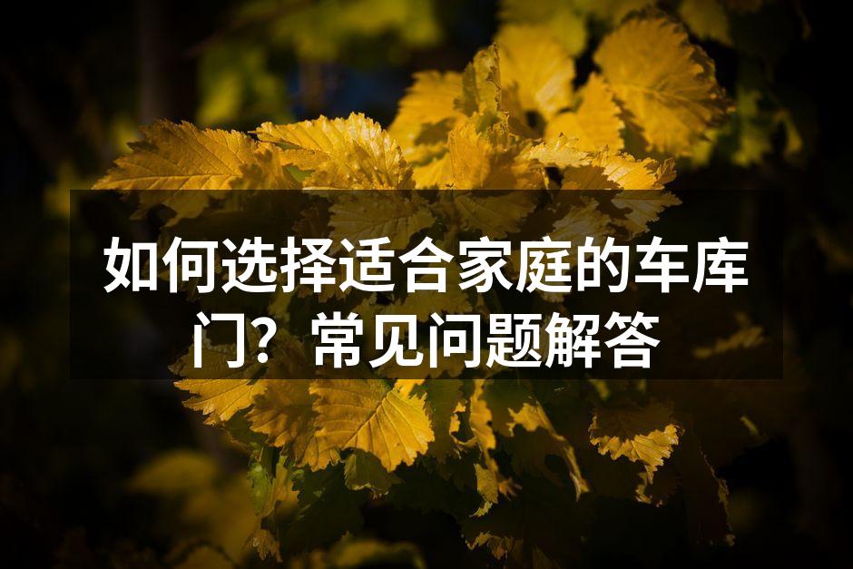 现代风格的车库门,兼具美观与实用