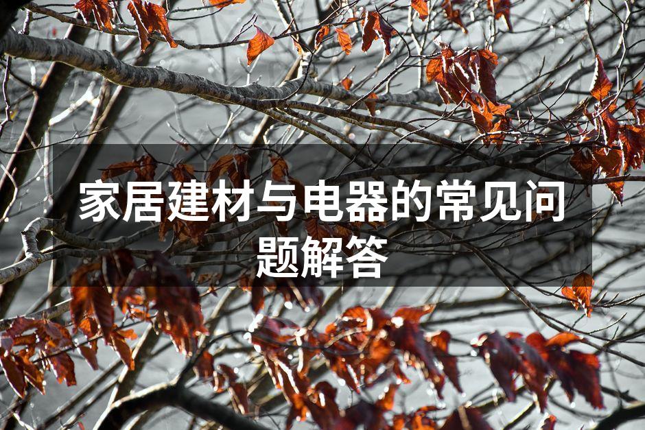 舒适的家居环境